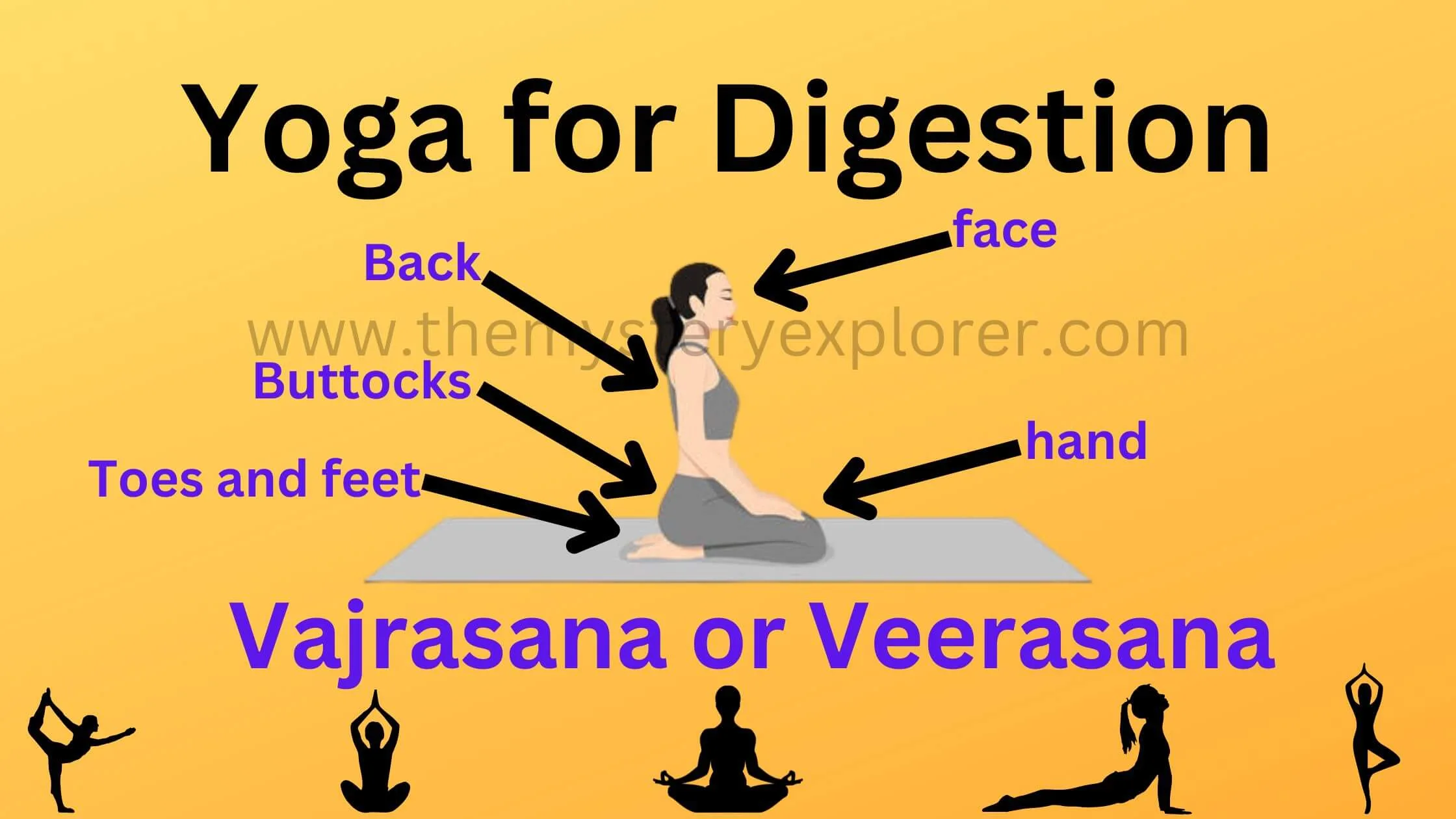 Yoga for Digestion