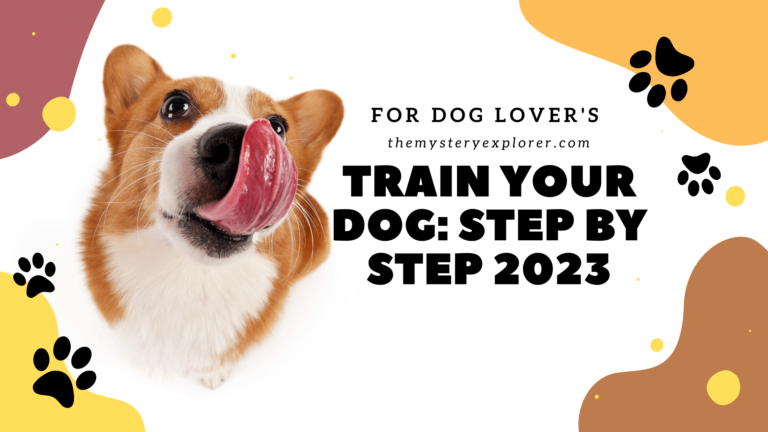 Train Your Dog