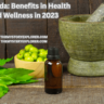 Ayurveda Benefits in Health and Wellness in 2023